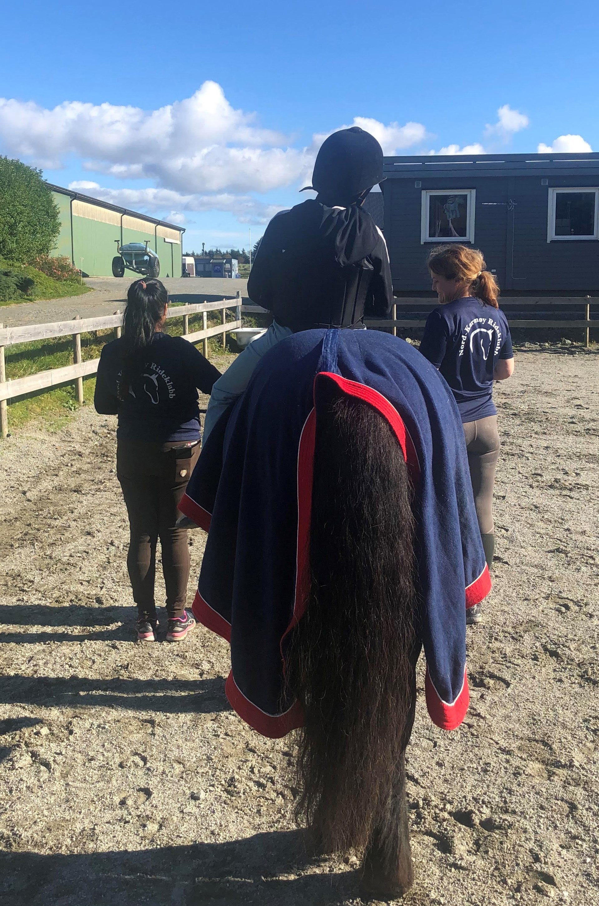 Bli kjent med hesten / Get to know the horse